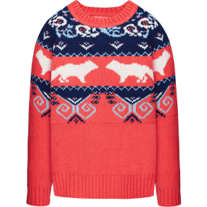 Sweater Colorful
